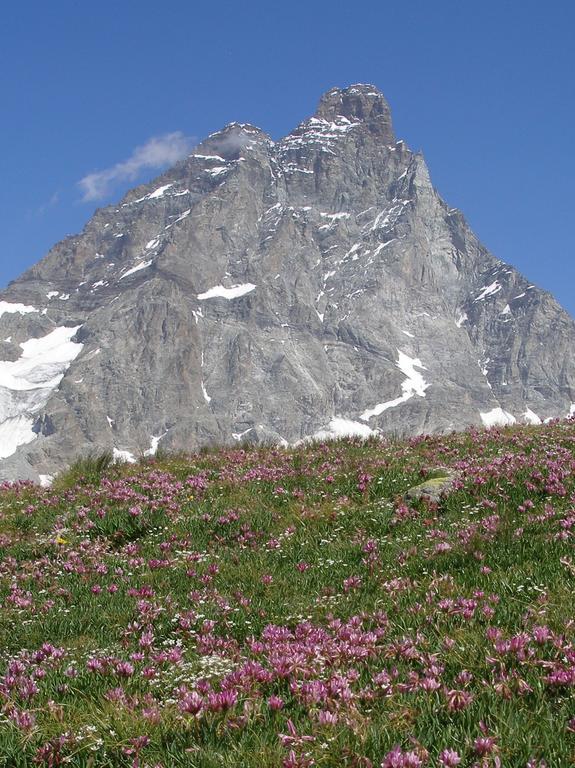 Hotel Dama Bianca Valtournenche Exteriér fotografie