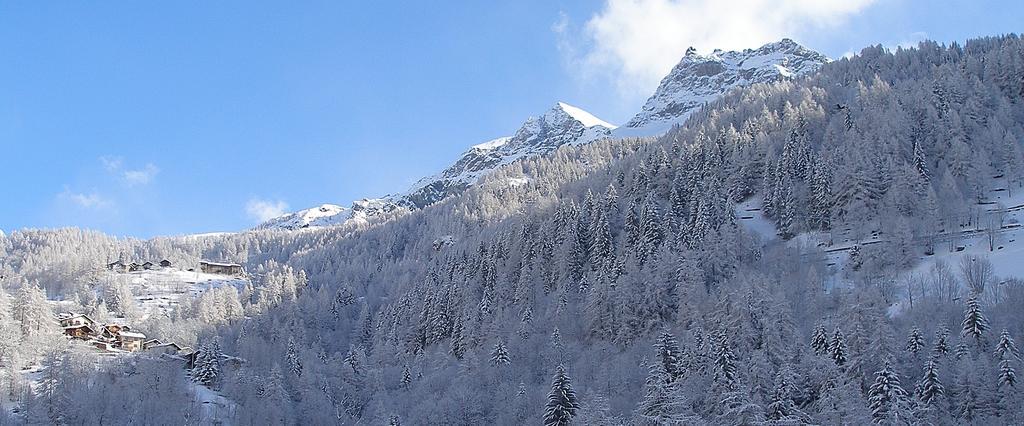 Hotel Dama Bianca Valtournenche Exteriér fotografie